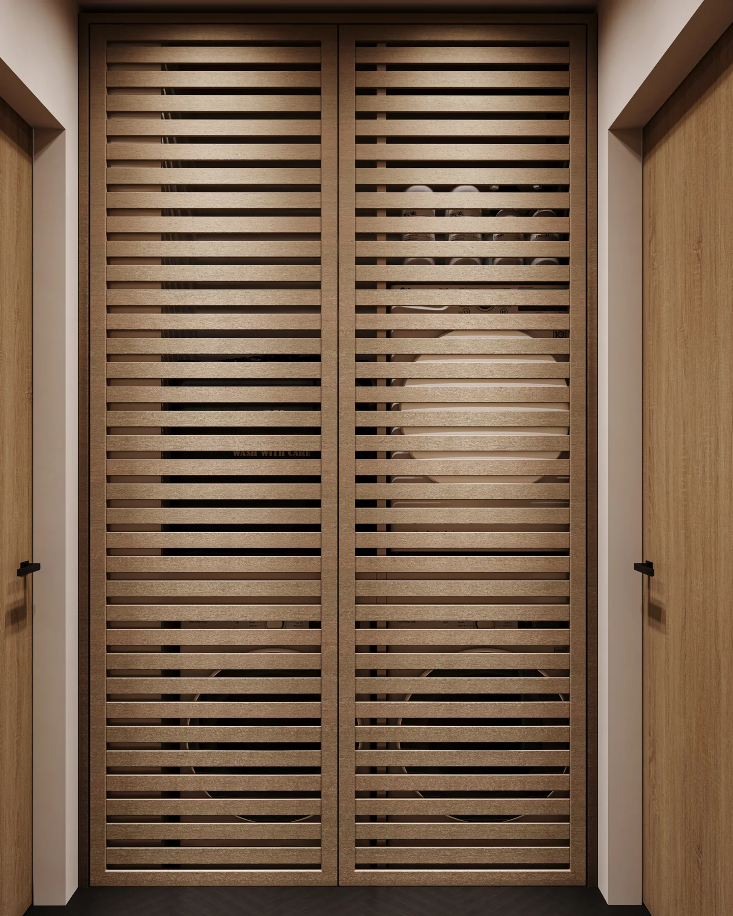 Private Residence — Laundry, laundry design visualization 1