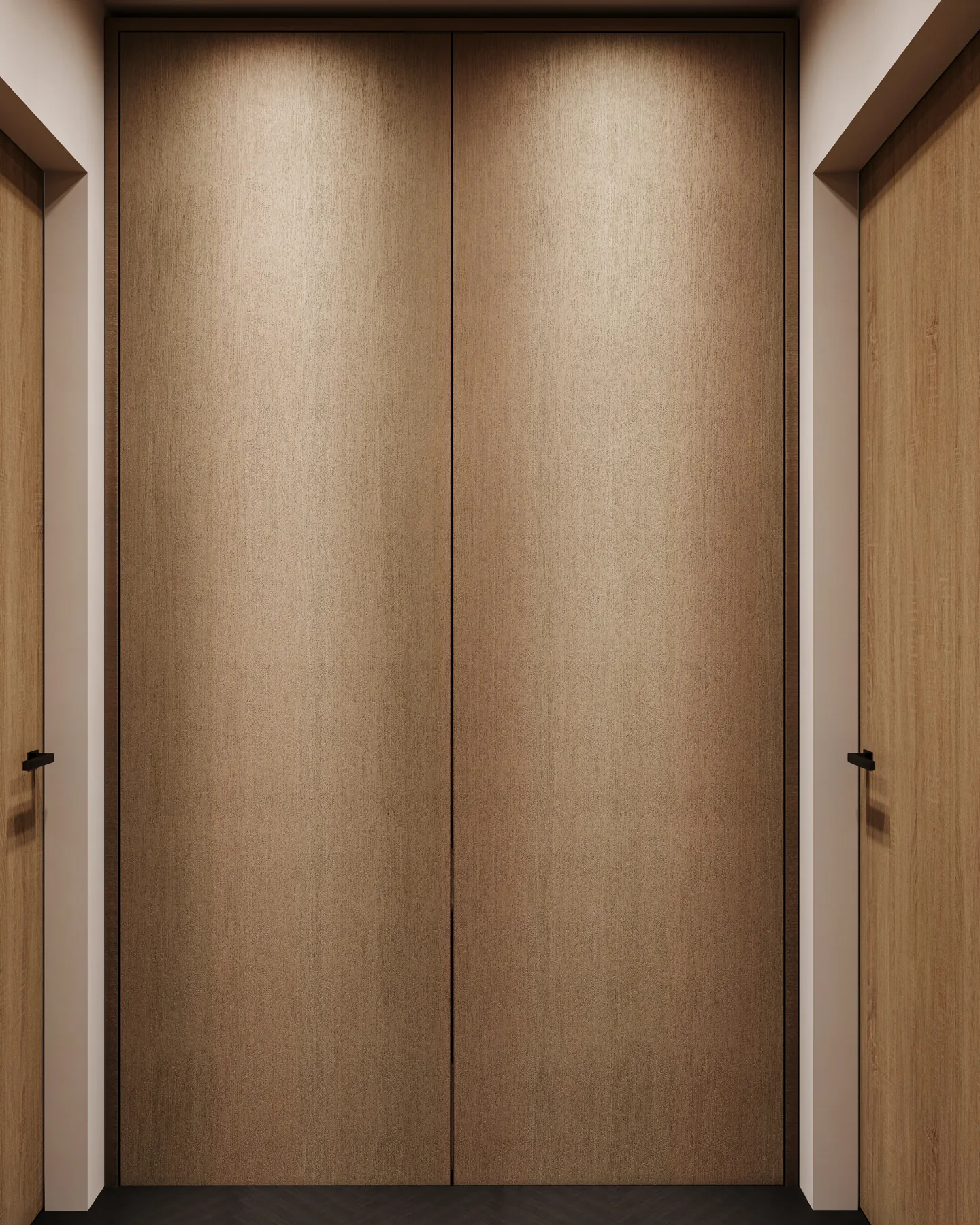 Private Residence — Laundry, laundry design visualization 2