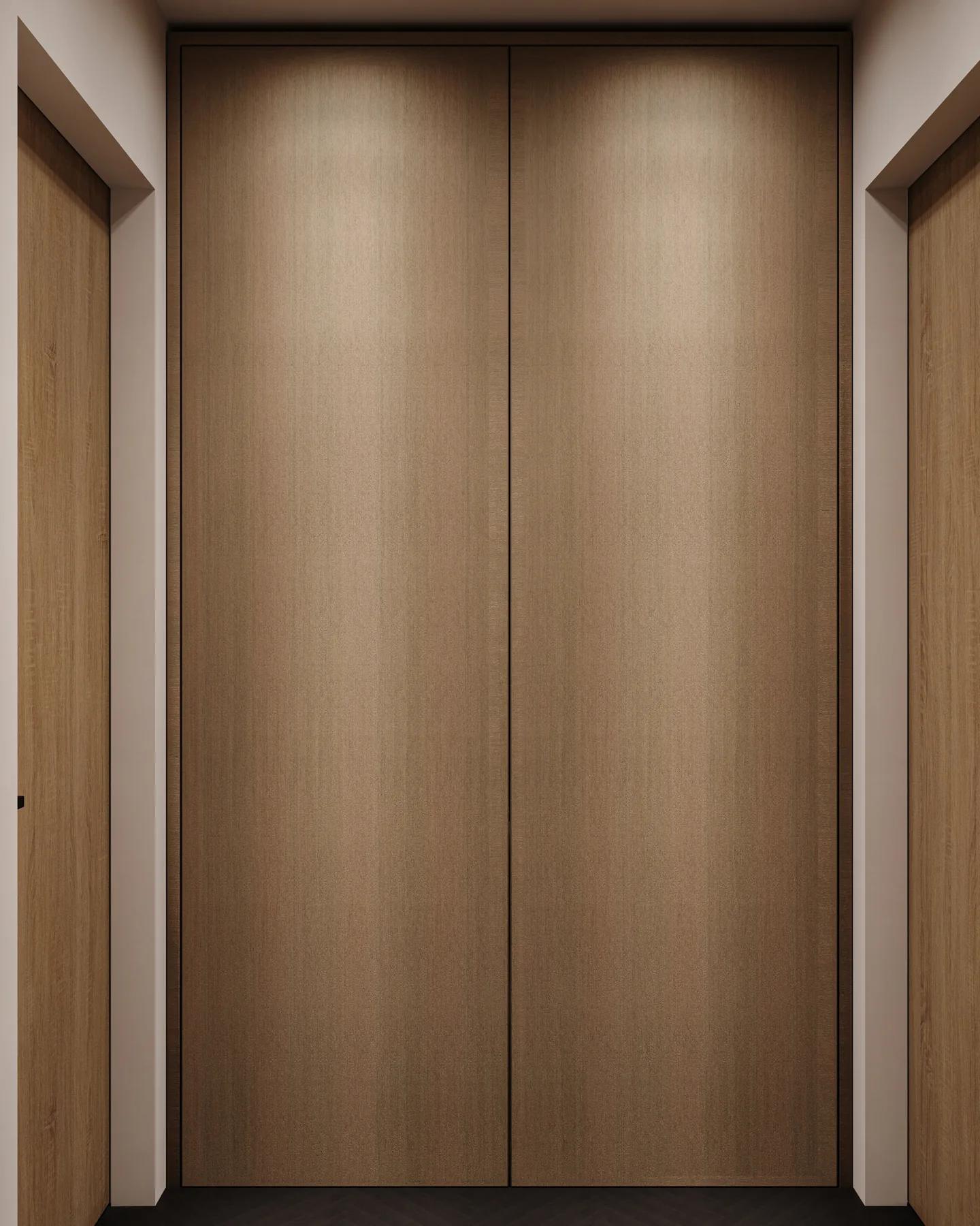 Private Residence — Laundry, laundry design visualization 4
